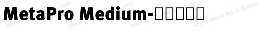 MetaPro Medium字体转换